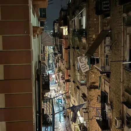 Apartament Minerva *